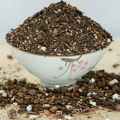 10 Cups Super Blend Premium Bonsai Tree Soil - With Mycorrhizae, Lava & Sand