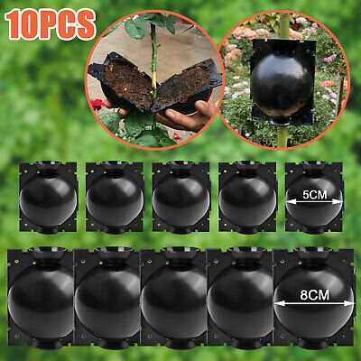 10pcs Plant Rooting Device High Pressure Propagation Ball Graft Boxes Grow 5/8cm